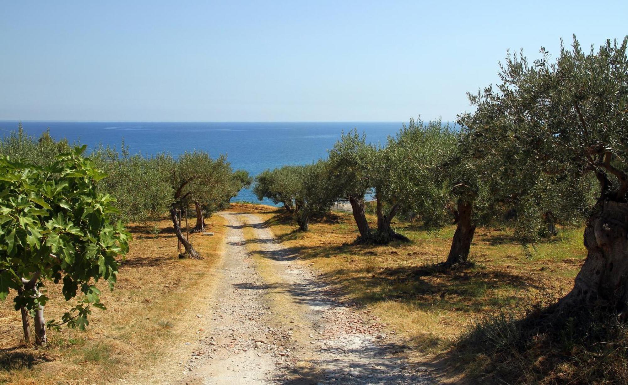 Tenuta Petreria 1 con accesso diretto al mare Santo Stefano di Camastra Esterno foto